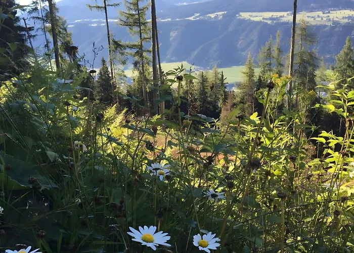 Planai Mitte 公寓 *