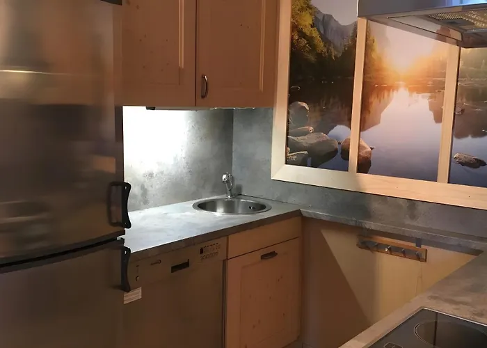 Planai Mitte 公寓 斯拉德明